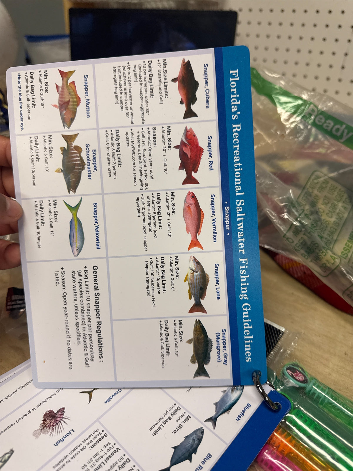 Florida Saltwater Fish & Shark ID Set – 4
