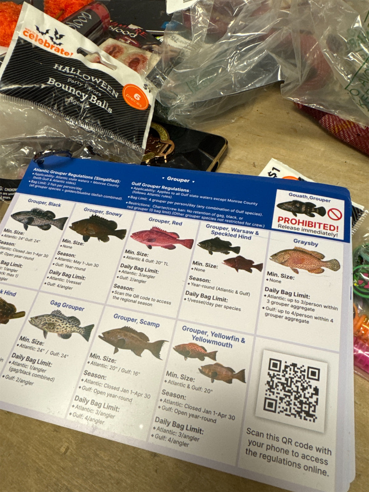 Florida Saltwater Fish & Shark ID Set – 4