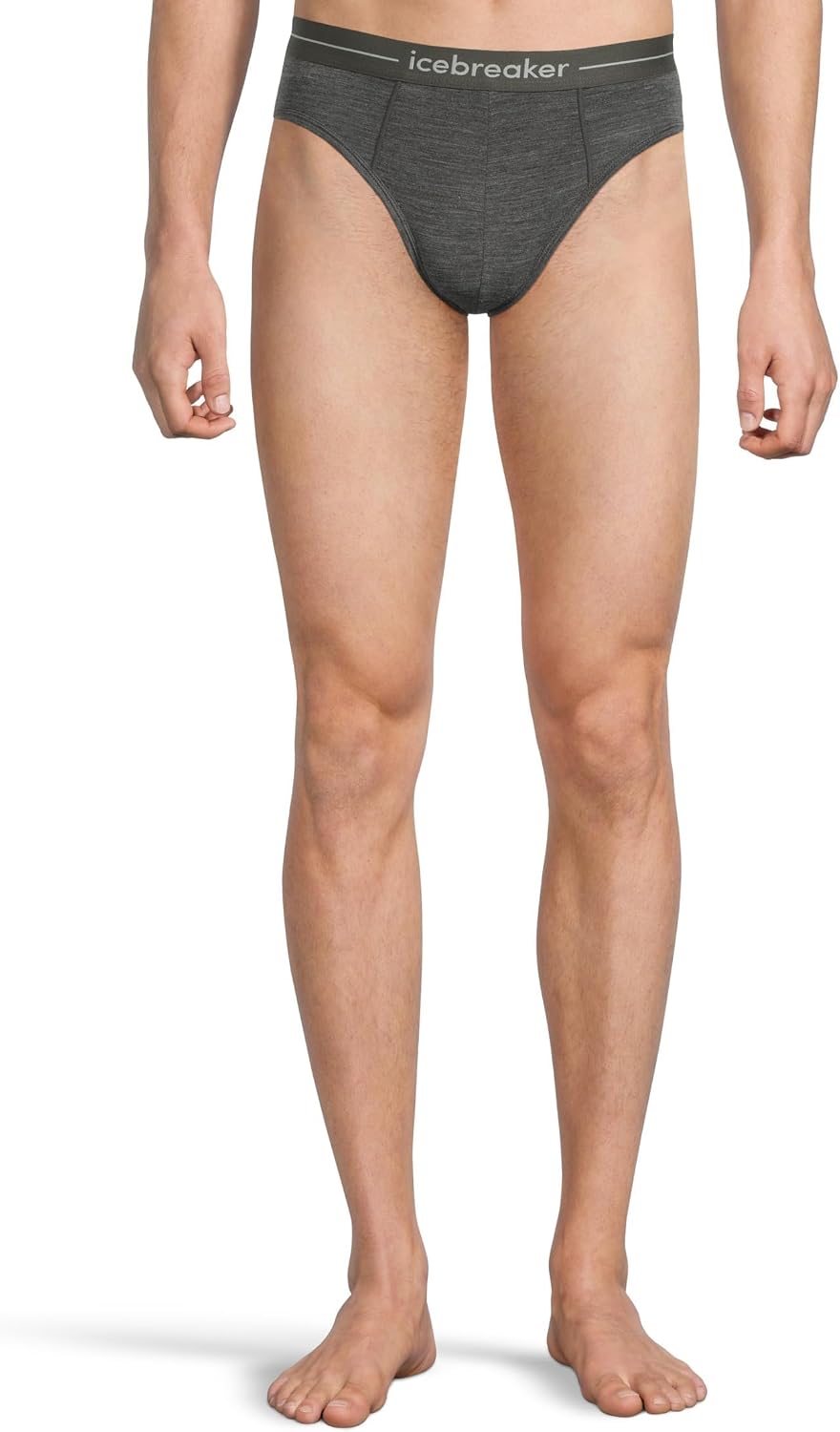 Icebreaker Anatomica Small Wool Briefs